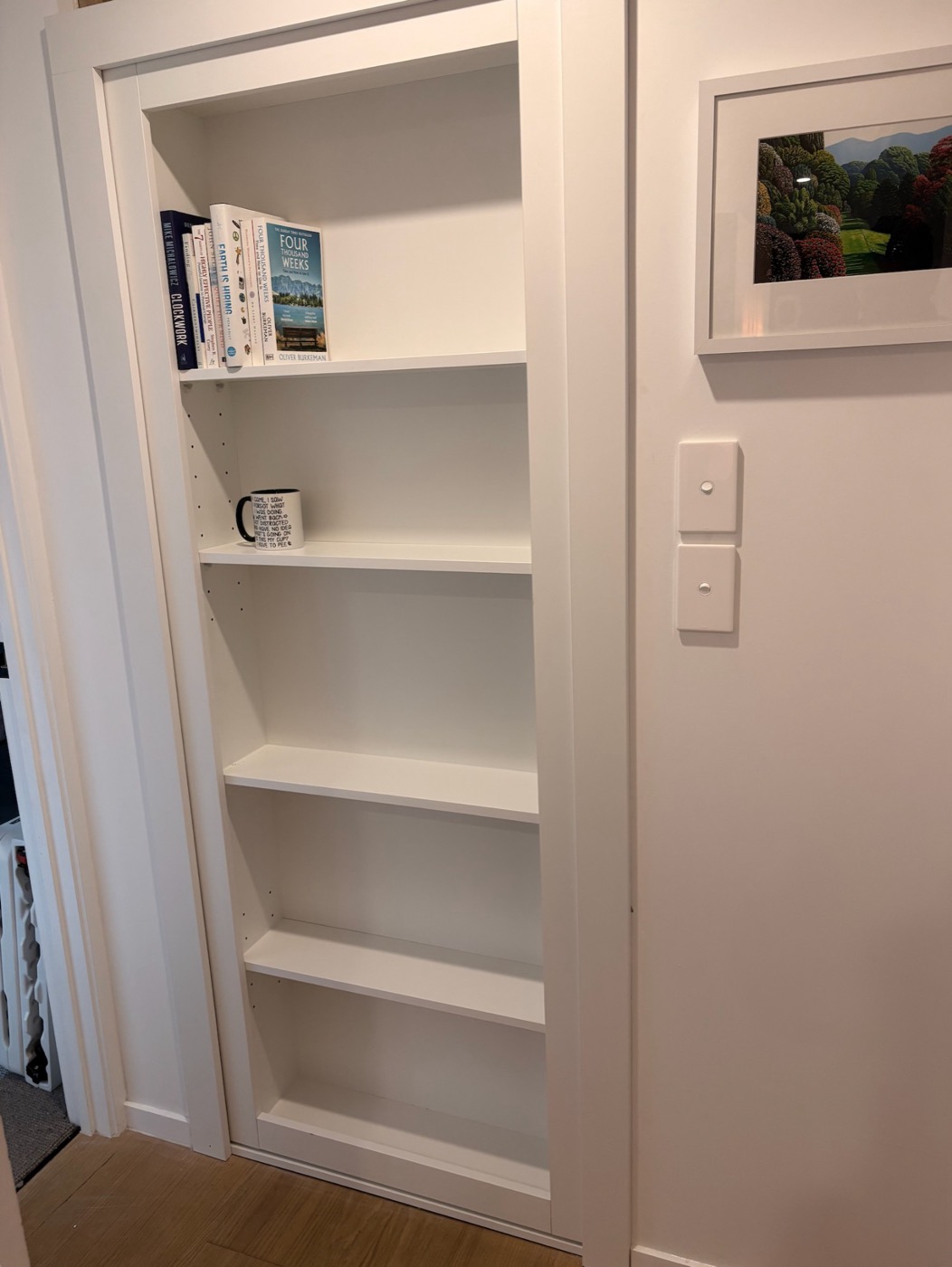 The first Wonder Door installed and closed, books on the top shelf